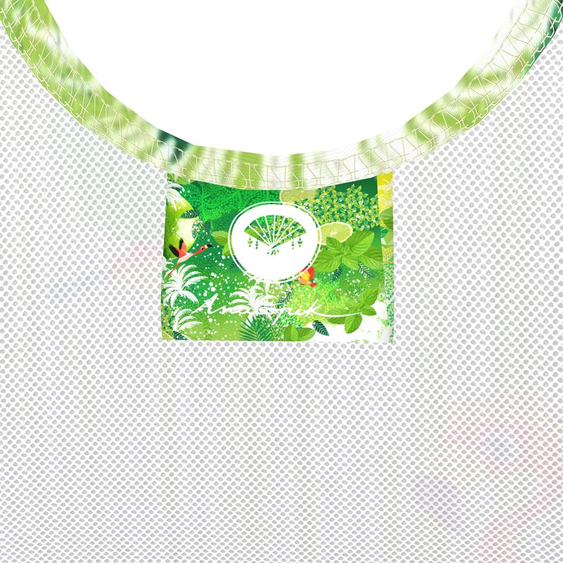 Maillot de bain une pièce ALIZEE MOJITO
