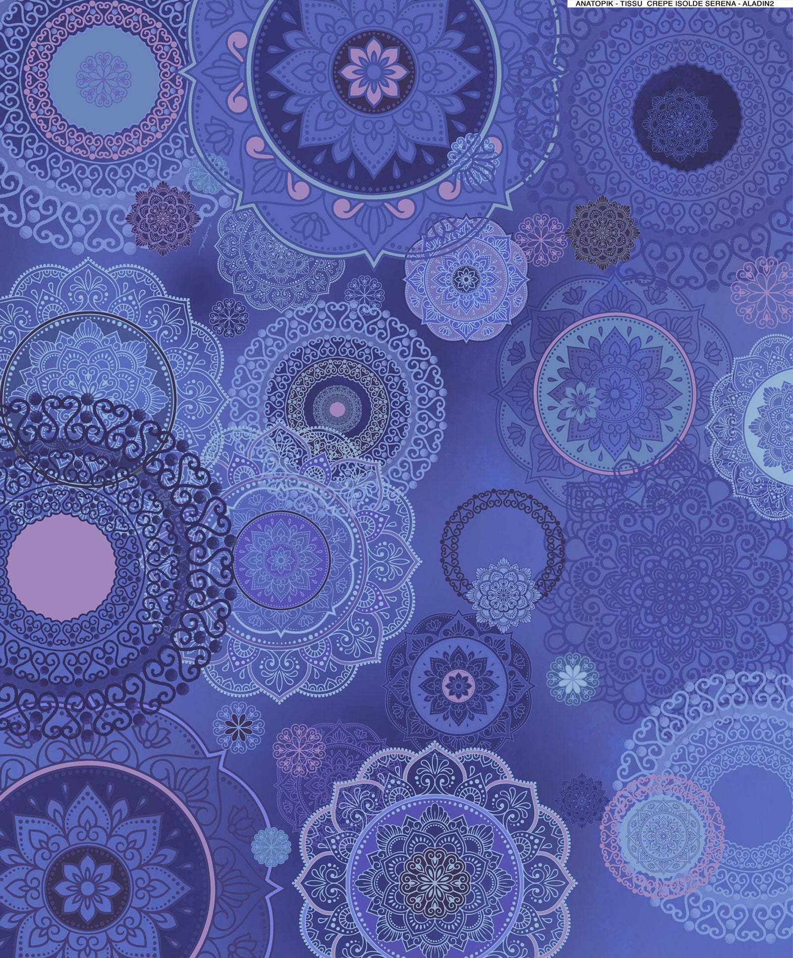 Cache-coeur résille CORALY ALADIN