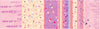Coupon Tissu Milano MILA Peinture